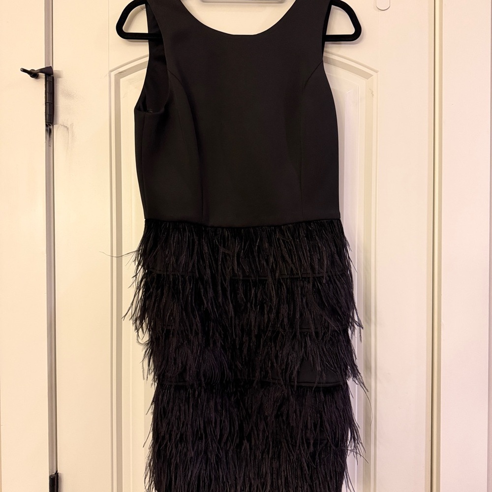 Black Feathered Sleeveless Dress